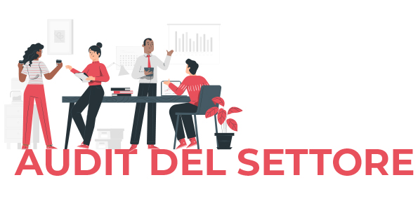Audit del settore