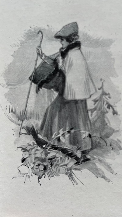 La ‘teletta’ fra igiene e cosmetica 4