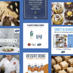 Debic e Caleidos Insieme da 10 anni